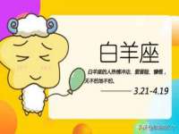 广西武宣精美建材有限公司