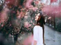 广西武宣精美建材有限公司