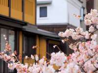 广西武宣精美建材有限公司