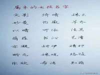 广西武宣精美建材有限公司