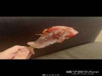 广西武宣精美建材有限公司